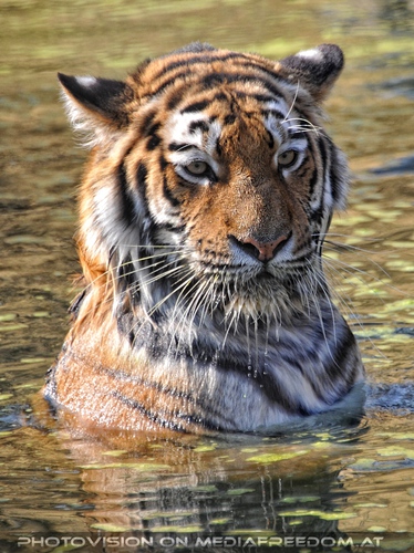 ...und so sch�n...nass