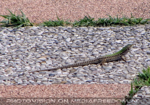 Bella spiaggia giornata 05