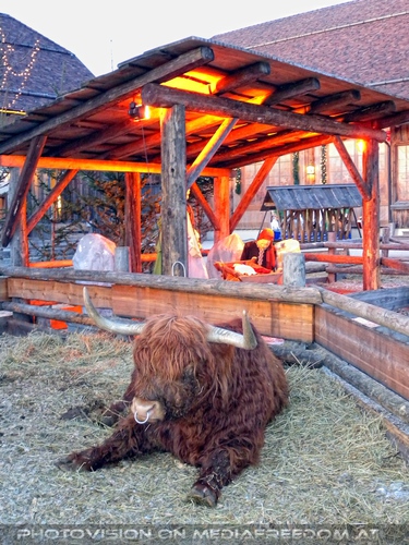 Im Paradies f�r Tiere 60