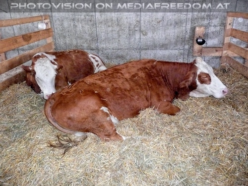 Tierparadies Deggendorf 14