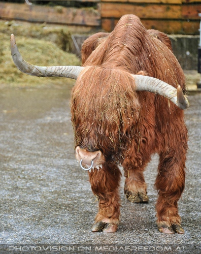 Patentreffen Bild 15