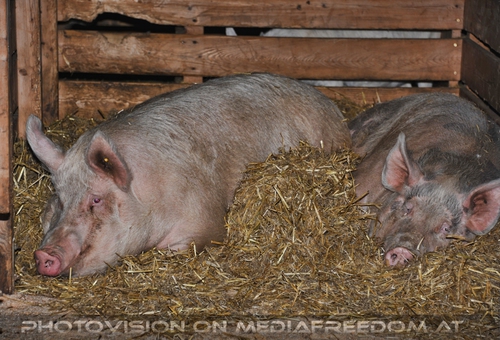 Patentreffen Bild 68