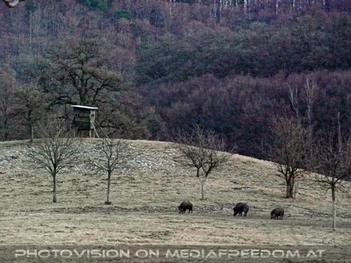 Wilder Spaziergang 17