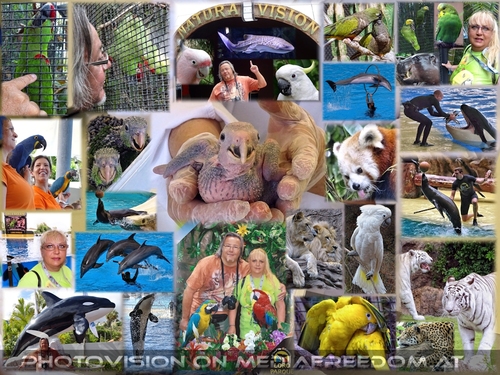 Foundation for Friends (Part 4)