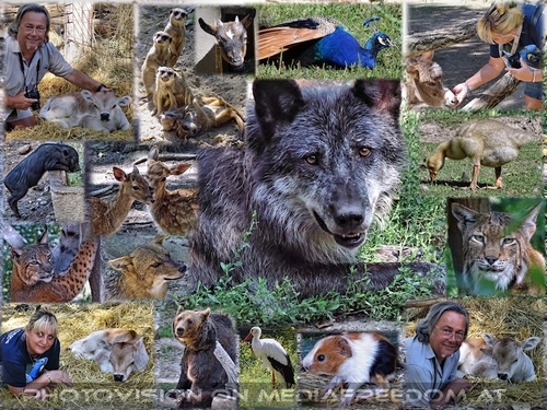 Natur entdecken, Tiere erleben, Erholung finden