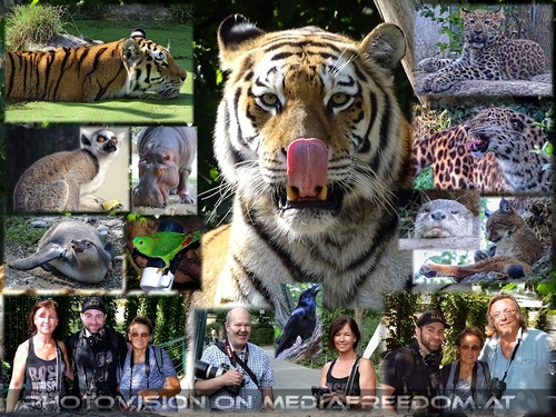 Tierische Fotografie