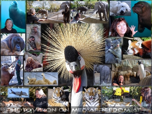 Mit Liebe gef�ttert: Eva D., Charly Swoboda