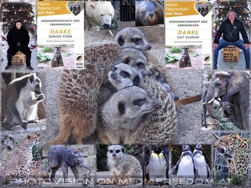 Erdm�nnchen Herzpatenschaft: Gabriele P.,Charly Swoboda