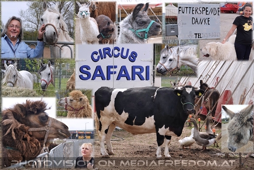 Futter Spende: Gabriele P., Charly Swoboda,