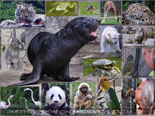 Kleine und gro�e Stars