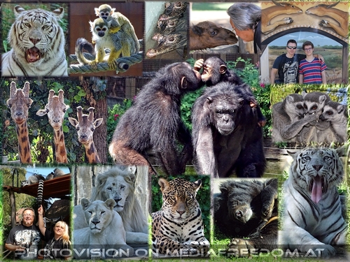 Allein, zu zweit, zu dritt...