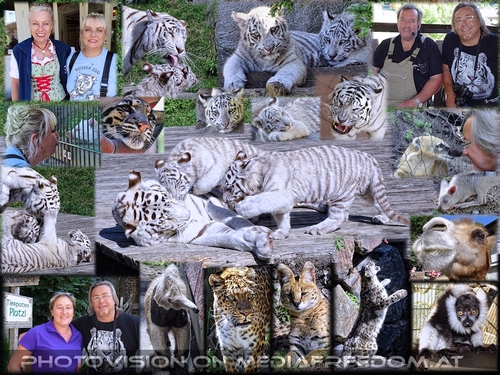 Im Reich von Hector und Pascha!