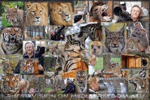 ...und es wird immer besser!!!