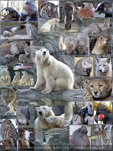 Die Freude ist da wo du bist...