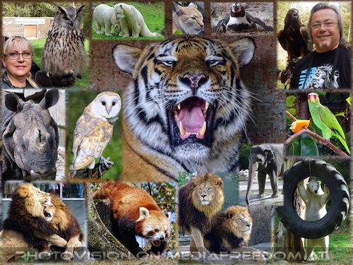 Helle Freude: Charly Swoboda, Gabriele P.