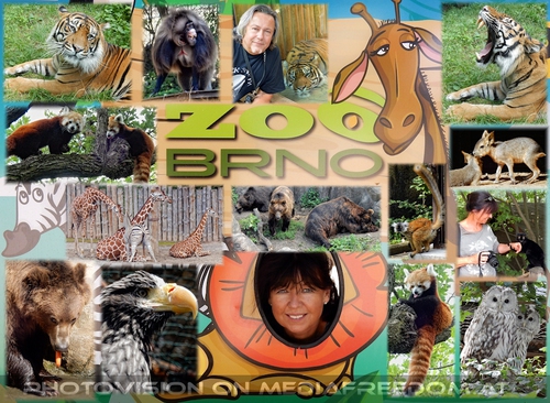 Druh� den - Zoo Brno