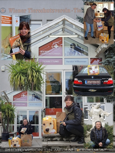 Mit Liebe bringt man Futter und Spiele