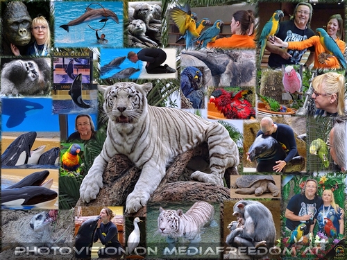 Foundation for Friends (Part 2)