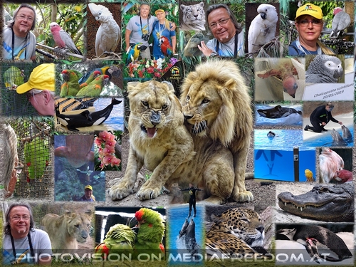 Foundation for Friends (Part 3)