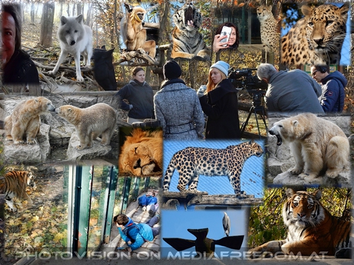 Tierpfleger Reportage