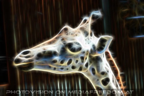 Giraffen Vision