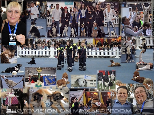 12 Jahre Haustiermesse Wien!: Lukas und Falco, Leonid Beljakov - Dog Comedy Show, Gabriel N., Charly Swoboda, Gabriele P.