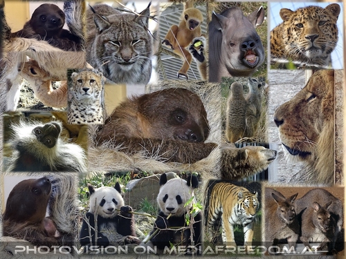 Sch�nbrunner Jungbrunnen