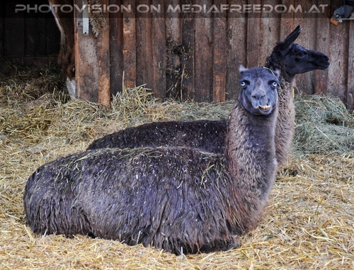 Patentreffen Bild 07