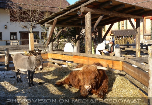 Im Paradies f�r Tiere 19