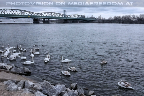 Blick vom Millenium Park 7