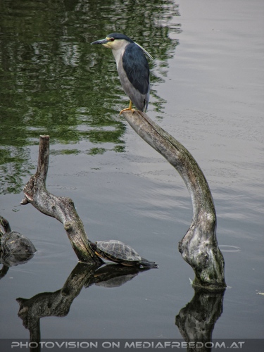 Ausblick �ber das Wasser
