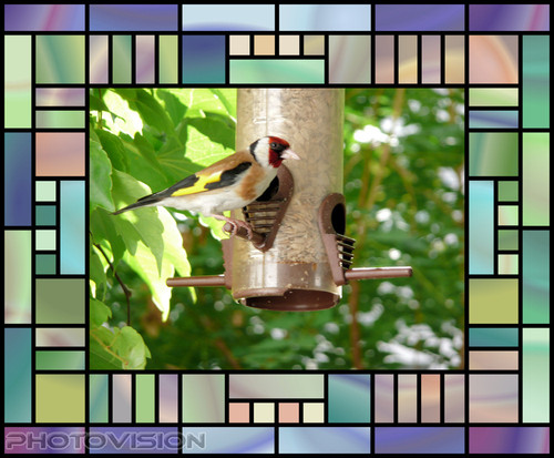 Dank dem Futterspender....