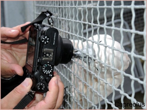 Ist da jetzt mein Foto drin ?