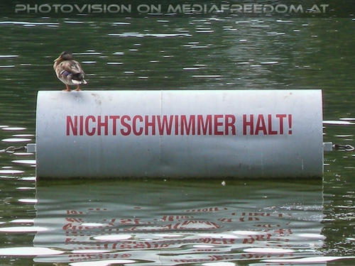 Der Bademeister: Ente