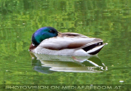 Besucher F�hrung 10