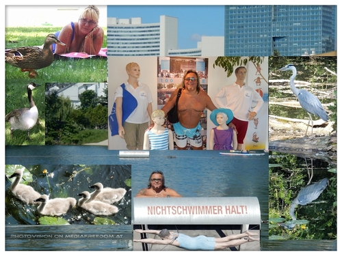 Zu Hause bei den G�nsen und anderen gefiederten Freunden.