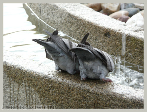 Zweisam statt einsam...