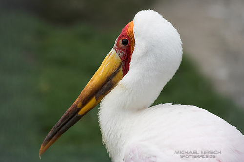 Stolz scheint er zu sein!: Michael Kirsch