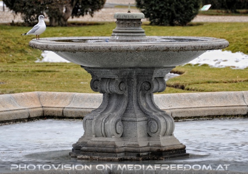 M�ve auf dem Brunnen