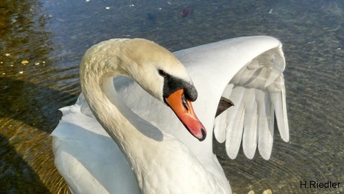 Komm mir nicht zu nahe!