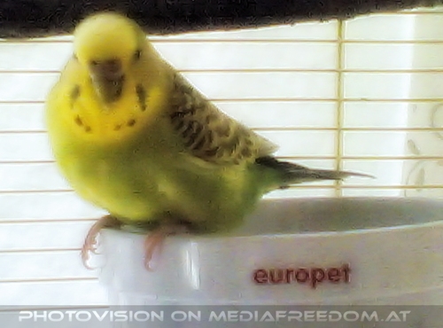 Europet