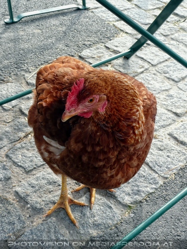 Tierparadies Deggendorf 31