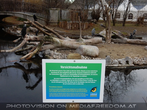 Vorsichtsma�nahme Vogelgrippe