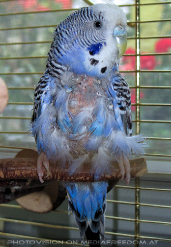 Die Eingew�hnung 07