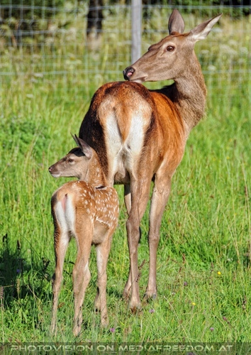 Hemmungslos Liebe 51