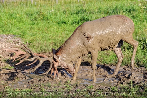 Hemmungslos Liebe 55