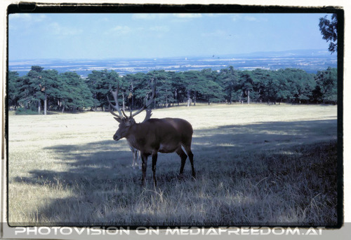 Es war einmal....kein Golfplatz