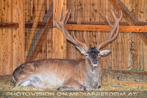 Hemmungslos Liebe 18