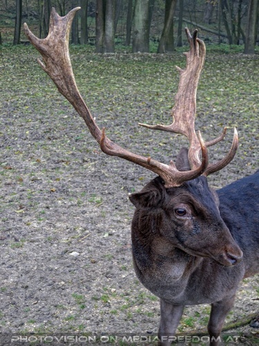 Enger Tierkontakt 14