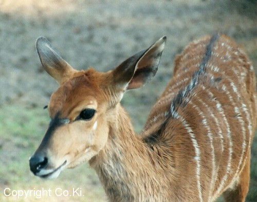 Bitte recht freundlich...